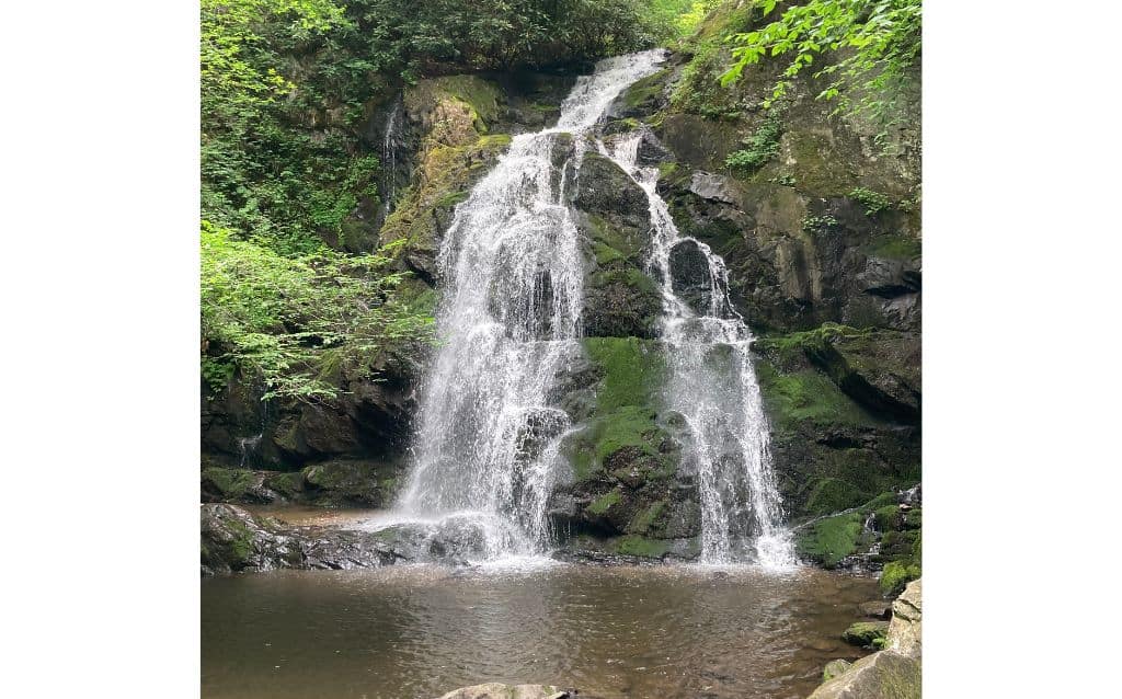 Twin falls emptying into pool at Spruce Flats Falls