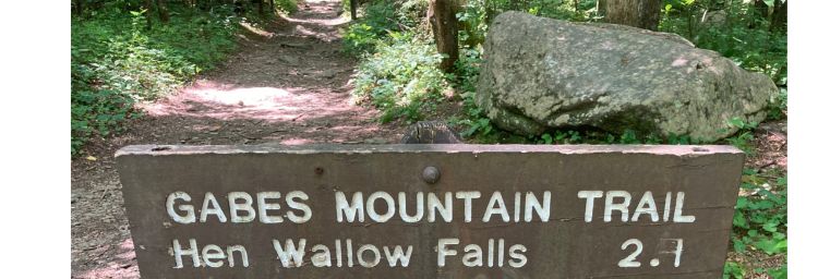 Trailhead to Hen Wallow Falls