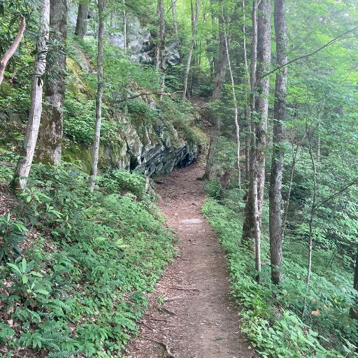 The trail to Hen Wallow Falls