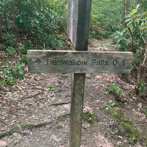 Trail sign to Hen Wallow Falls