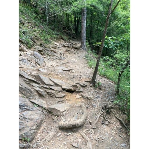 Hiking trail to Spruce Flats Falls