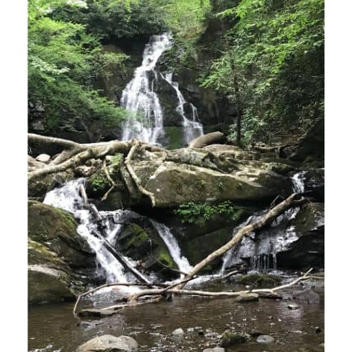 The falls viewed from down the creek