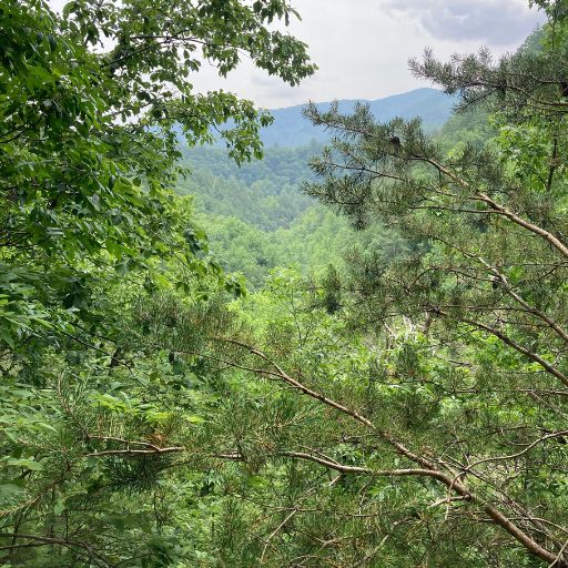 View from the trail to Spruce Flats Falls