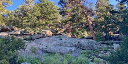 Views from the trail