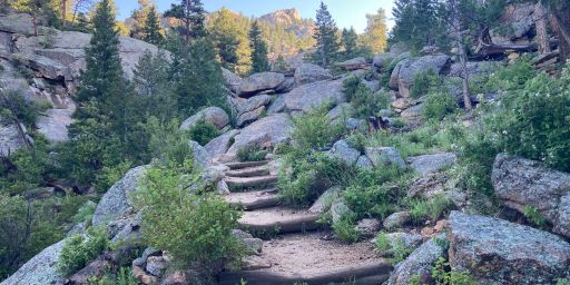 Stone steps on the trail