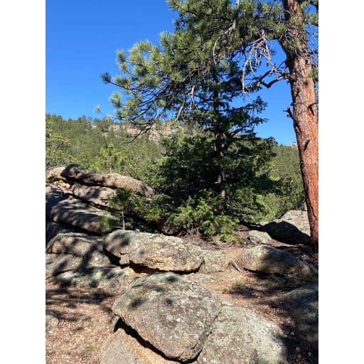Trees, boulders and views from the trail