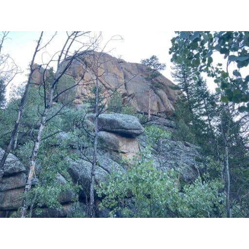Views from the trail