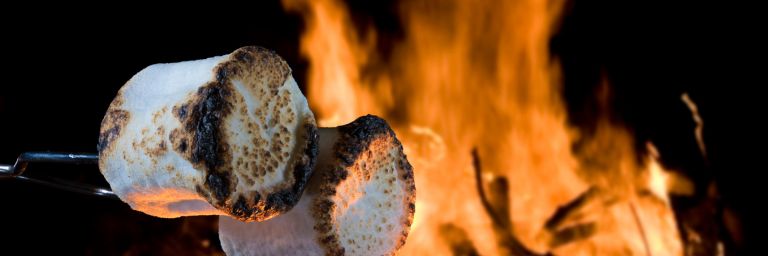 Roasting marshmallows over the campfire