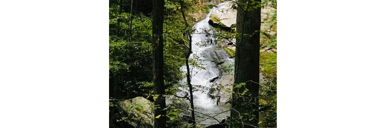 Lynn Camp Prong Cascade