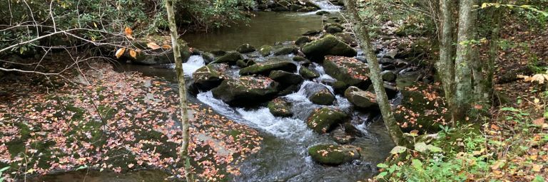 Cascades on Middle Prong