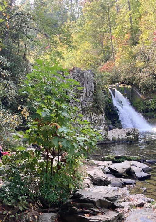 Abrams Falls