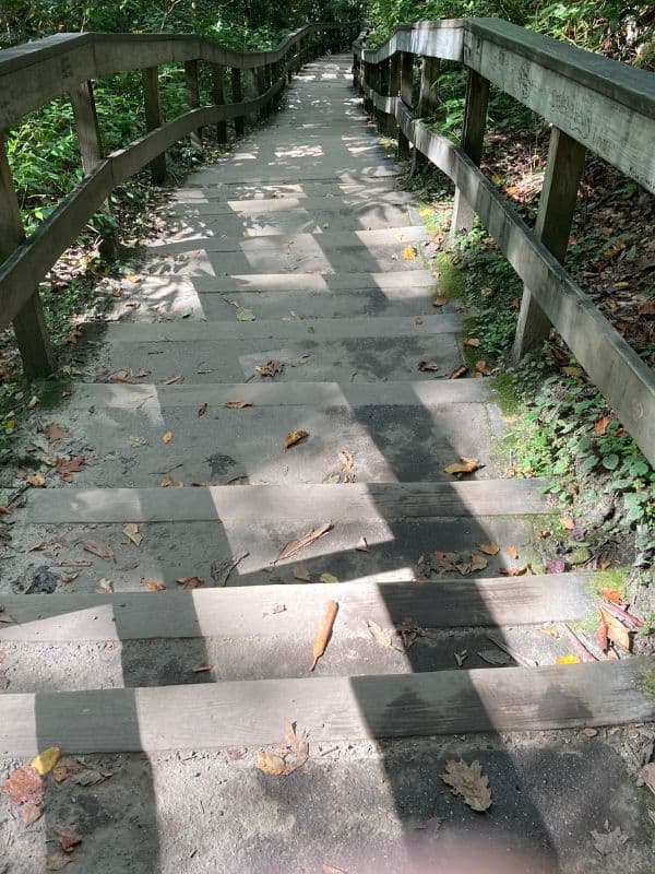 Stairs at Mingo Falls
