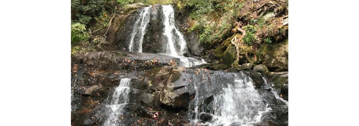 Laurel Falls