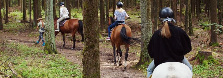 Family riding horses on a trailride