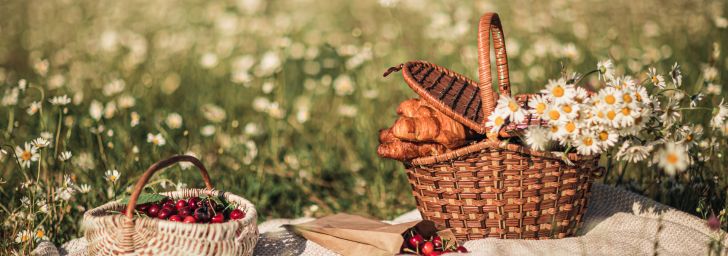 Picnic basket