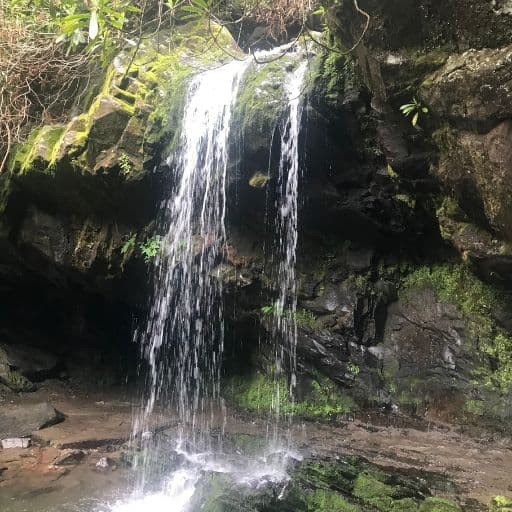 Grotto Falls