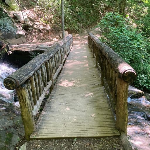 Bridge over Juney Whank Falls