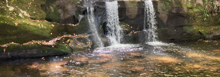 Indian Flats Falls, one of our favorite waterfalls in the Smoky Mountains
