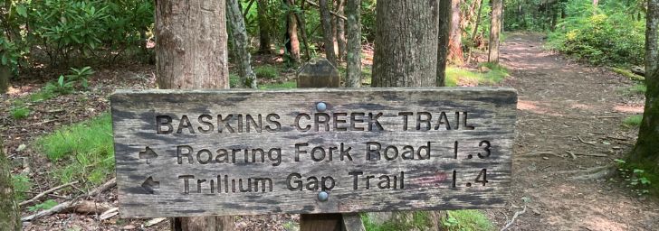 Trail sign for Baskins Creek Falls