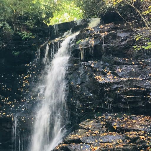 Partial view of Soco Falls