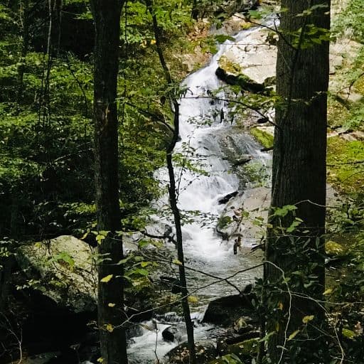 Lynn Camp Prong Cascades