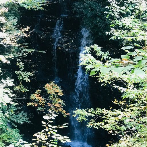 Soco Falls seen from the viewing platform