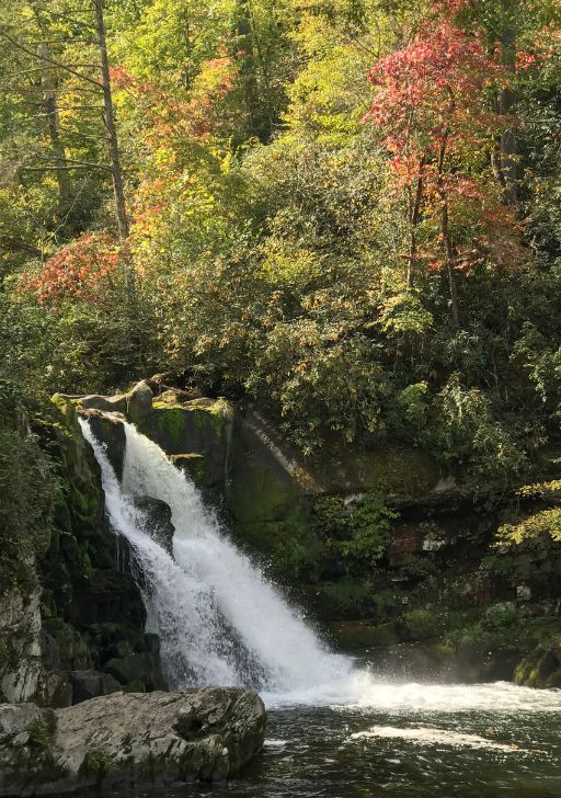 Abrams Falls in the fall