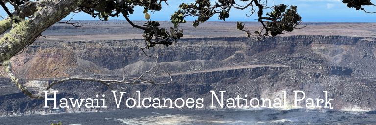Kilauea Crater border by an O'hia tree with a blue sky in the background