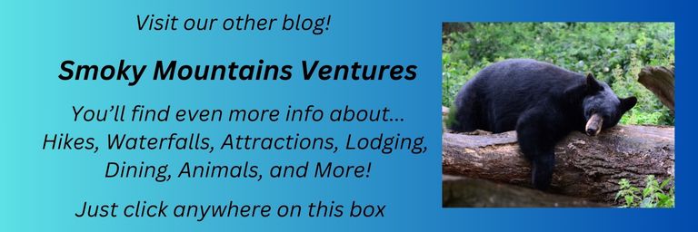 A clickable banner featuring a big black bear napping on a fallen log